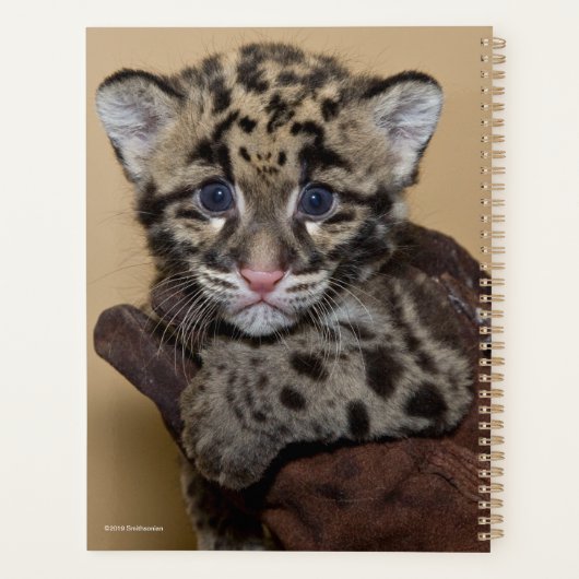 Gekloonde luipde luipkub planner (Achterkant)