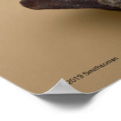 Gekloonde luipde luipkub poster (Hoek)