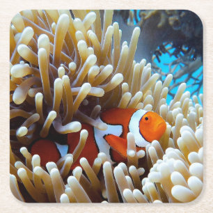 Gekloonde vis in koraalrif kartonnen onderzetters