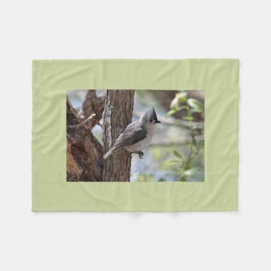 Geknoopte muis fleece deken (Voorkant (Horizontaal))