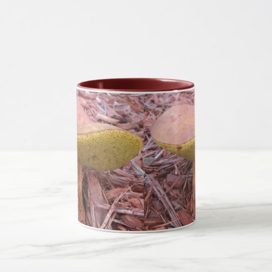 Gekoelde Bolete paddenstoel Mok (Midden)