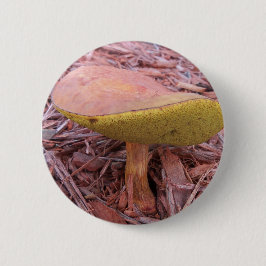 Gekoelde Bolete paddenstoel Ronde Button 5,7 Cm