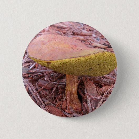 Gekoelde Bolete paddenstoel Ronde Button 5,7 Cm (Voorkant)