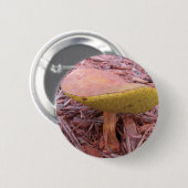 Gekoelde Bolete paddenstoel Ronde Button 5,7 Cm (Voorkant /achterkant)