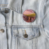 Gekoelde Bolete paddenstoel Ronde Button 5,7 Cm (In situ)