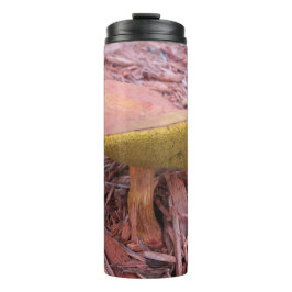 Gekoelde Bolete paddenstoel Thermosbeker