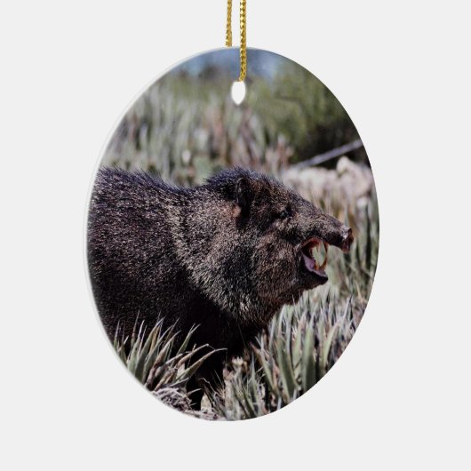 Gekolde peccary (javelina) die tijdens de bloei gl keramisch ornament (Rechts)