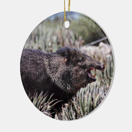 Gekolde peccary (javelina) die tijdens de bloei gl keramisch ornament (Links)