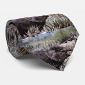 Gekolde peccary (javelina) die tijdens de bloei gl stropdas (Opgerold)