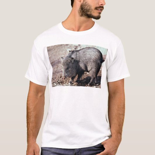 Gekolde peccary (javelina) t-shirt (Voorkant)