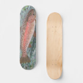 Gekookt forel skateboard (Voorkant)