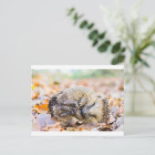 Gekookte egel op bladeren in het seizoen van de he briefkaart (Staand voorkant)