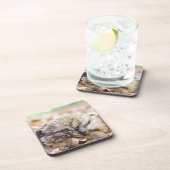 Gekookte egel op bladeren in het seizoen van de he onderzetter (Rechterzijde)