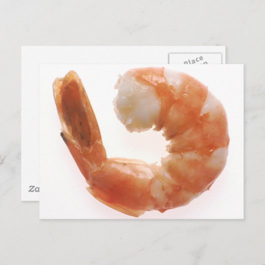 Gekookte garnaal briefkaart (Voorkant / Achterkant)