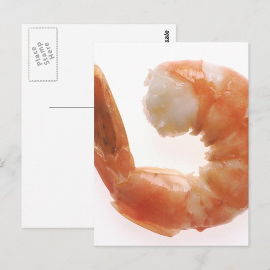 Gekookte garnaal briefkaart (Voorkant / Achterkant)