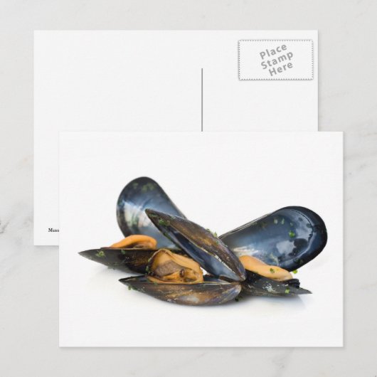 gekookte mosselen boven wit briefkaart (Voorkant / Achterkant)