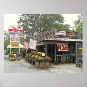 Gekookte pinda's Y'ALL COME Poster