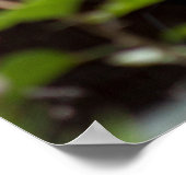 Gekoppelde dakbedekking van Okinawan House Poster (Hoek)