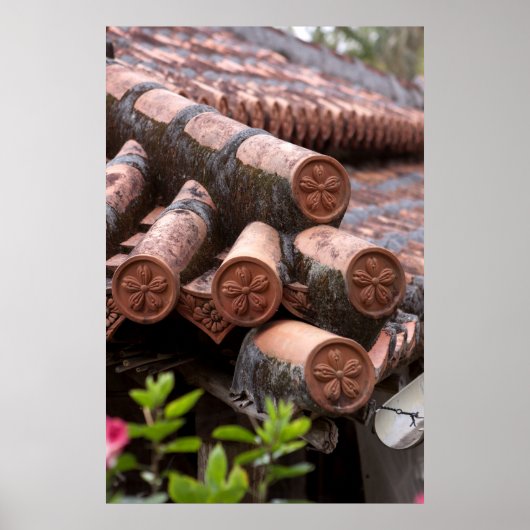 Gekoppelde dakbedekking van Okinawan House Poster (Voorkant)