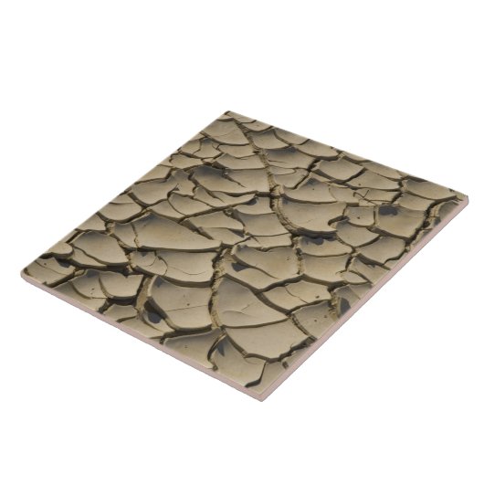 Gekoppelde modderformatie in de vallei van tegeltje (Zijkant)