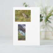 gekoppelde sjabloon-afbeeldingen kaart (Staand voorkant)