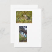 gekoppelde sjabloon-afbeeldingen kaart (Voorkant / Achterkant)