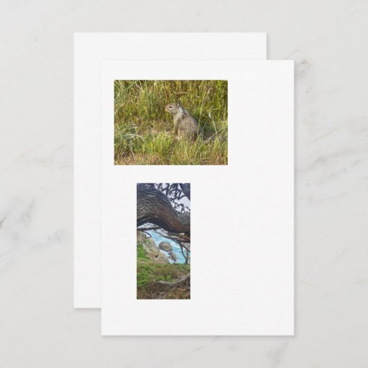 gekoppelde sjabloon-afbeeldingen kaart (Voorkant / Achterkant)