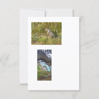 gekoppelde sjabloon-afbeeldingen kaart