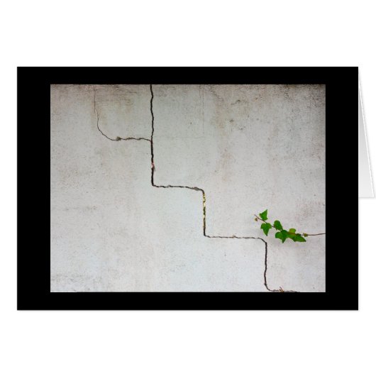 gekraakt (Voorkant Horizontaal)