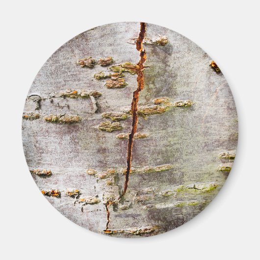 Gekraakte Birch Bark Magneet (Voorkant)