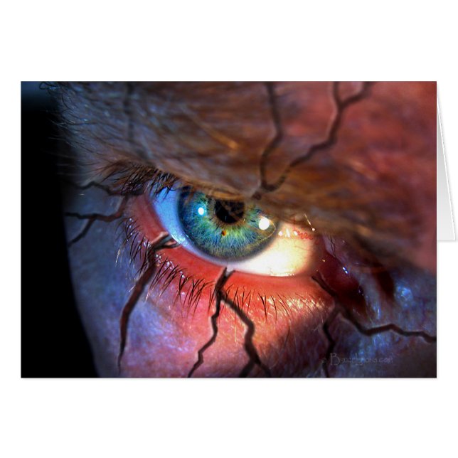 Gekraakte ogen (Voorkant Horizontaal)