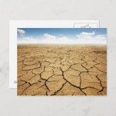 Gekraakte woestijnvloer briefkaart (Voorkant / Achterkant)