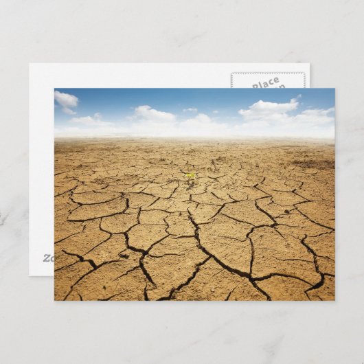 Gekraakte woestijnvloer briefkaart (Voorkant / Achterkant)