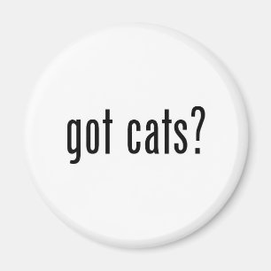 gekregen katten? magneet