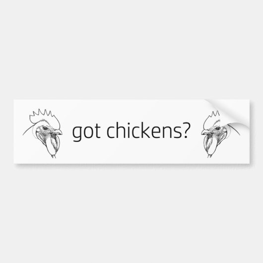 gekregen kippen? hanen bumpersticker (Voorkant)
