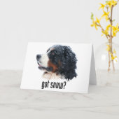 gekregen sneeuw? De Hond van de Berg van Bernese Kaart (Gele Bloem)