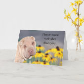 Gekrimpelde Shar Pei verjaardag Kaart (Gele Bloem)