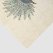 gekroonde blauwe vogel Ephemera Decoupage Tissuepapier (Detail)