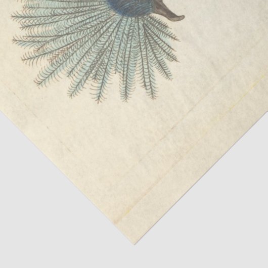 gekroonde blauwe vogel Ephemera Decoupage Tissuepapier (Detail)