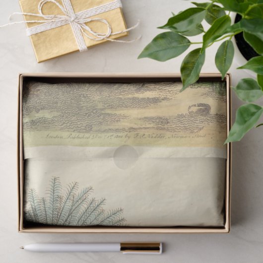  gekroonde blauwe vogel Ephemera Decoupage Tissuepapier (Geschenk)