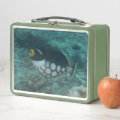 Gekruisde triggervissen in de Belgische lagune Fij (In situ)