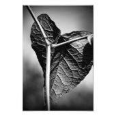 gekruisigd hart foto afdruk (Voorkant)