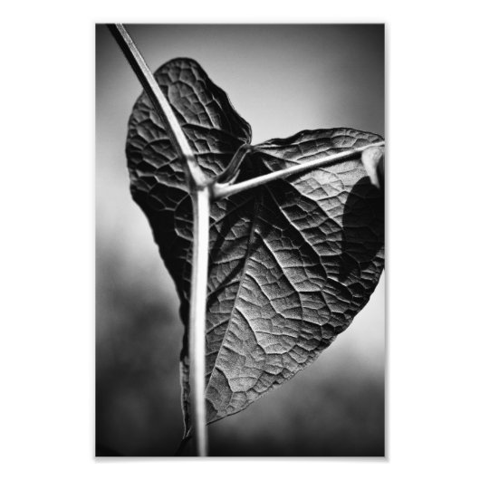 gekruisigd hart foto afdruk (Voorkant)