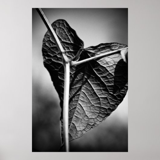 gekruisigd hart poster (Voorkant)