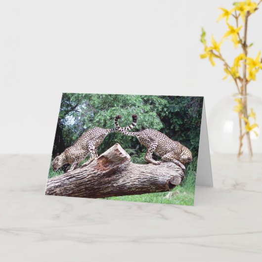 Gekruiste de Staarten van jachtluipaarden Kaart (Gele Bloem)