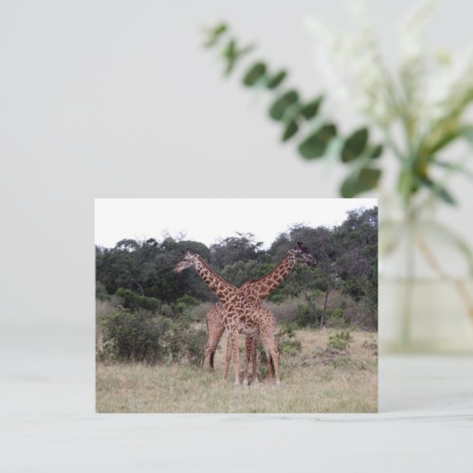 gekruiste giraffen briefkaart (Staand voorkant)