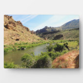gekruiste rivier, OF Fotoplaat (voorkant)