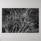 gekruiste struik poster (Voorkant)