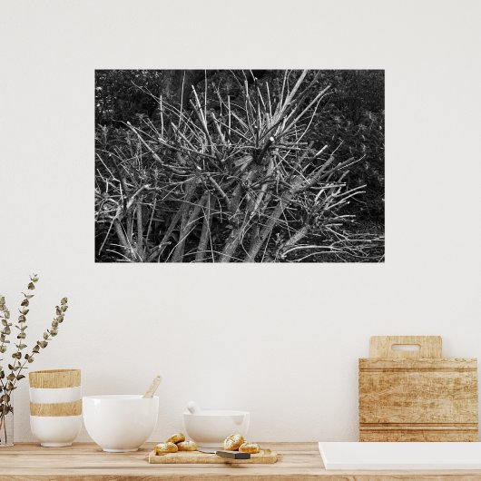 gekruiste struik poster (Keuken)