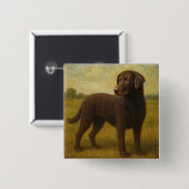 Gekrulde Gecoatde Retriever Vierkante Button 5,1 Cm (Voorkant /achterkant)